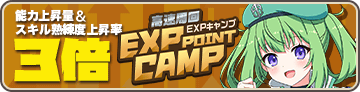 EXP Point Camp - Nazca Banner.png