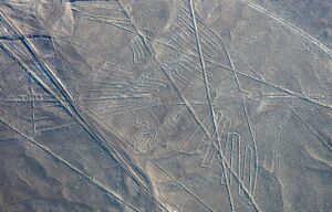 Nazca Lines (Condor).